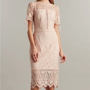 Tadashi Shoji Blush Pink Lace Tea Length Dress